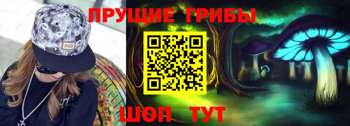 Медногорск  Галлюциногенные грибы Cubensis  Вход с VPN 